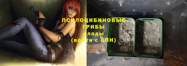 дживик Абинск