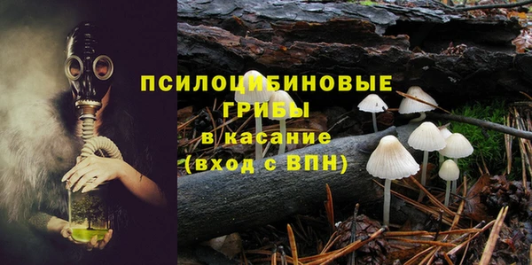 дживик Абинск