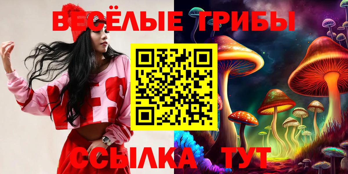 где купить наркотик  Вход с VPN  Балаково  Галлюциногенные грибы Magic Shrooms 
