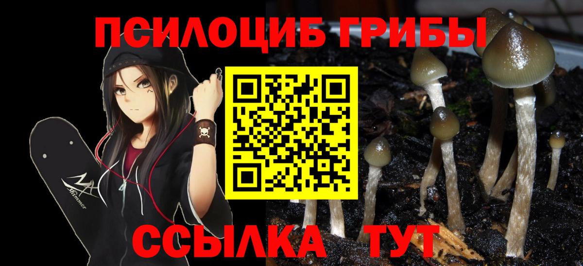 Балаково  Псилоцибиновые грибы GOLDEN TEACHER  Вход с VPN  Галлюциногенные грибы Psilocybe 