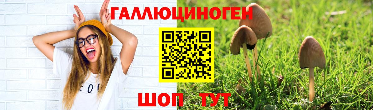 Галлюциногенные грибы мухоморы Балаково